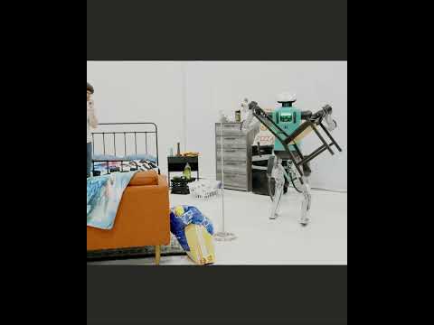 Innovation at Agility: Digit Redecorates